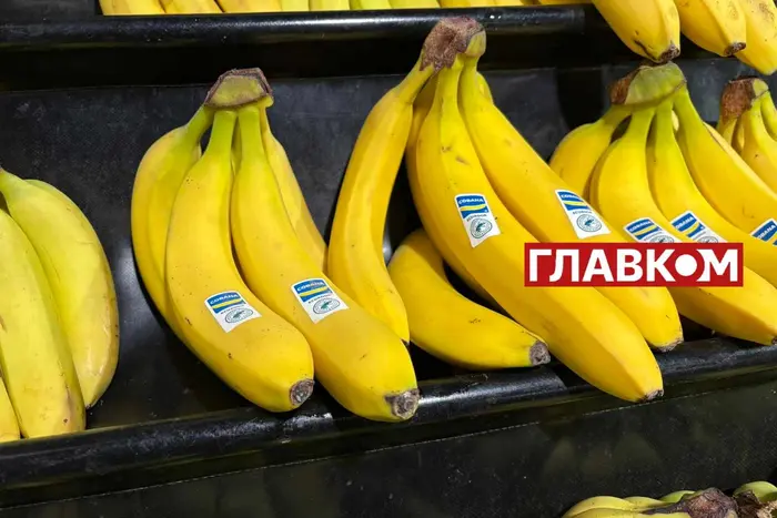 Are bananas growing at risk? Climate scientists are worried