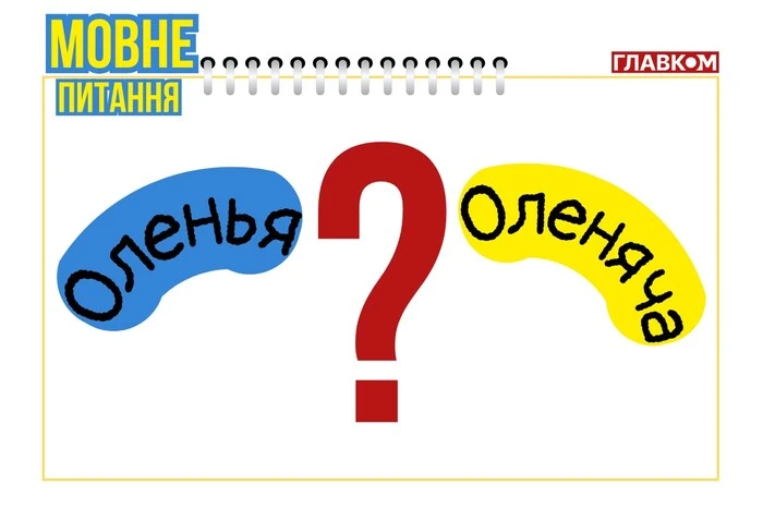 «Оленья» или «Оленяча»? Языковед Ольга Васильева объяснила, как правильно писать странные названия разбомбленных российских аэродромов